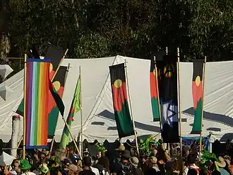 Crowd of people at the festival waving flags
