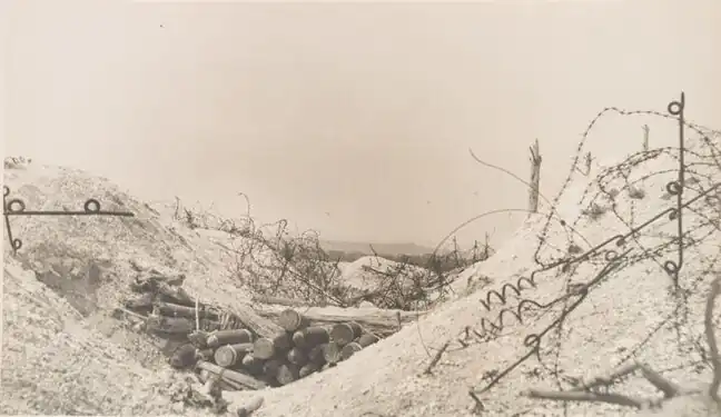 Margaret Hall (American, 1876–1963). German Barbed Wire and Trench, Champagne, 1918–19