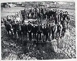 Fifty men stand on the massive stump of the Mark Twain Tree