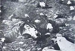 Macedonian historians have accused the Bulgarian forces of several atrocities, as the massacre of 12 young civilians at the village of Vataša. They were suspected of becoming guerillas in the coming days.[99] However, significant part of the soldiers and some of the commanding officers during the occupation were local staff.[100][101][102]