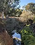 Matadero Creek and the Barron Park donkeys, viewed from the trail through Bol Park
