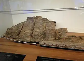 Image of a fragment of an ancient ship