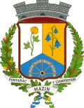 Coat of arms of Mazzin