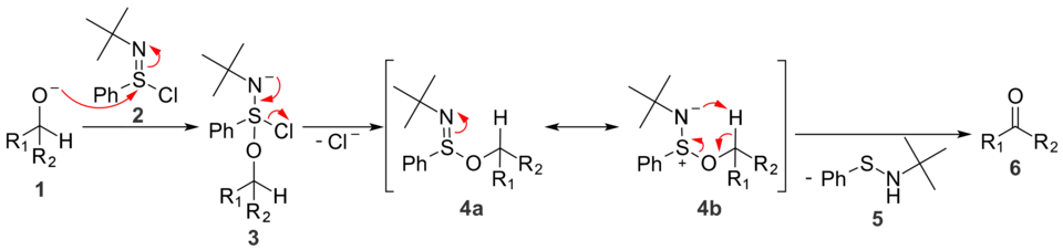 In oxidation reactions with N-tert-butylbenzenesulfinimidoyl chloride, a five-membered ring transition state is responsible for the formation of a new double bond.