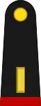 Sub-Lieutenant