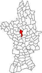 Location in Olt County