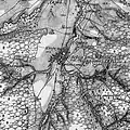Fragment from the Military Topographic Map of the Kazan Governorate of 1880