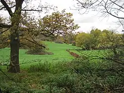 Mill Hill Substation Pastures