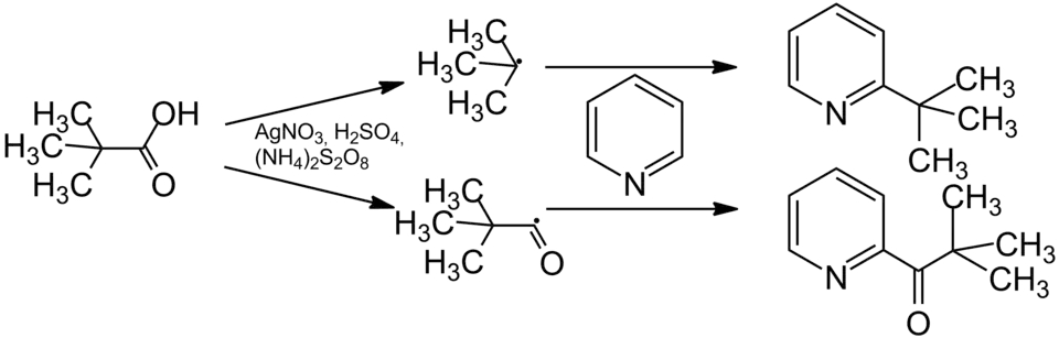 Mechanism of the Minisci-Reaction