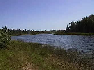 Mink River showing streambank and vegetation
