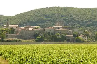 Distant view of Montclus with vineyards