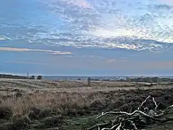 Mookerheide near Mook