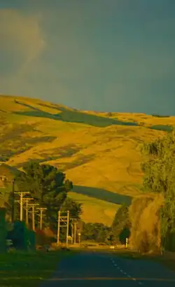 Rural road near Motukarara