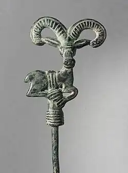 Ibex or mouflon pin head