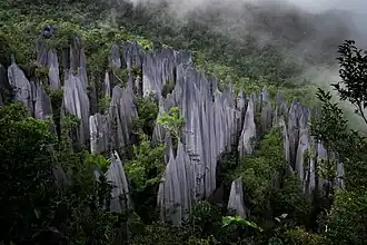 Tall, light grey stone columns protruding above a forest