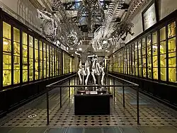 Hall of Comparative Osteology