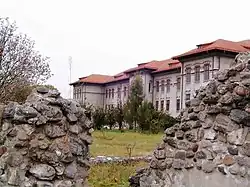 Iron Gates Region Museum behind Roman ruins