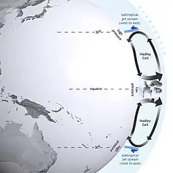 Cross section showing the vertical and meridional movement of air around Hadley cells in the northern and southern hemispheres