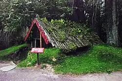 Buried village November 2009