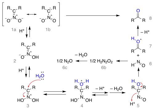 The Nef reaction mechanism