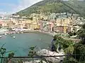 Nervi