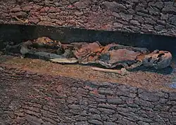 Upper body of Neu England Man