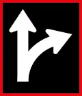 This Lane May Proceed Straight or Turn Right
