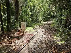 Nihotupu Tramline in the Waitākere Ranges in 2023