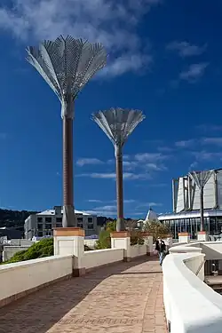 Nīkau palm columns at the Wellington Central Library