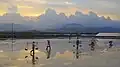 Image 6Making salt by evaporation of sea water near Ninh Hòa town, Khánh Hòa Province Vietnam