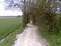Typical chalk downland trail near Hollingbourne
