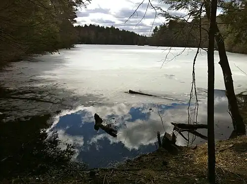 NorthernEndOfBreakneckPondfacingsouth