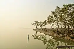 Sundarbans in Shyamnagar Upazila