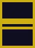 Flight suit sleeve insignia for a lieutenant (2003–present)