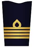 Sleeve insignia on innerkavaj m/48 ("inner jacket m/48") for a colonel. (2000–present)