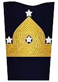 Sleeve insignia for a general in the Amphibious Corps (2000–2003) and Coastal Artillery (1972–2000)