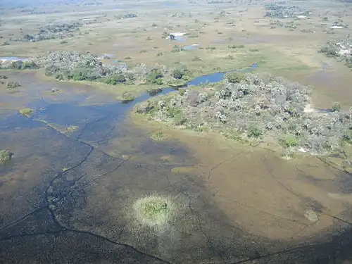 Image 38Aerial view over Okavango Delta (from Economy of Botswana)