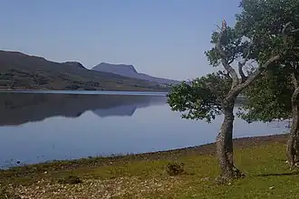 A tree on the foreshore of a large lake with hills beyond