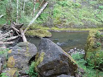 A river with several logs in it, and large rocks in the foreground