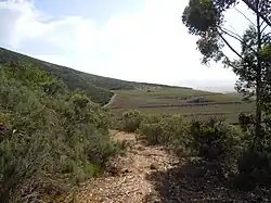 View of Voelvalei looking down