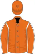 Orange, white seams on sleeves