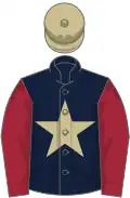 Dark blue, beige star, maroon sleeves, beige cap