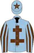 Light blue, brown cross of lorraine, brown and light blue striped sleeves, light blue cap, brown star