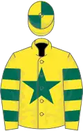 Yellow, Dark Green star, hooped sleeves, quartered cap