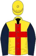 Yellow, red cross, dark blue sleeves, yellow cap