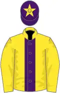 Yellow, purple stripe, yellow sleeves, purple cap, yellow star
