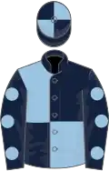 Dark blue and light blue quartered, light blue spots on sleeves, quartered cap