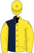 Yellow and dark blue (halved), yellow sleeves and cap