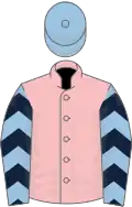 Pink, light blue sleeves, dark blue chevrons, light blue cap