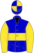 Blue, yellow hoop and sleeves, quartered cap